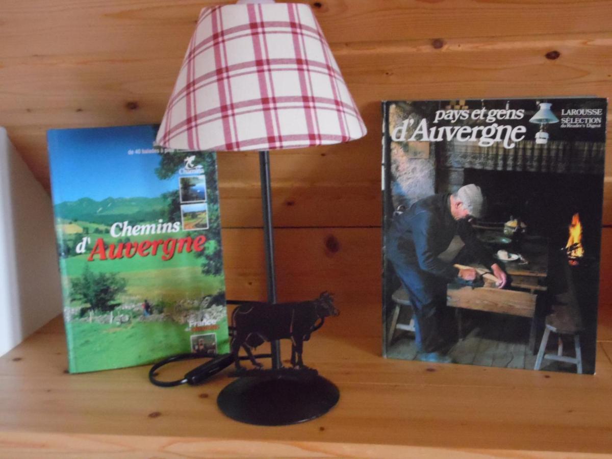 Chalet Des Clarines Saint-Genes-Champespe Экстерьер фото